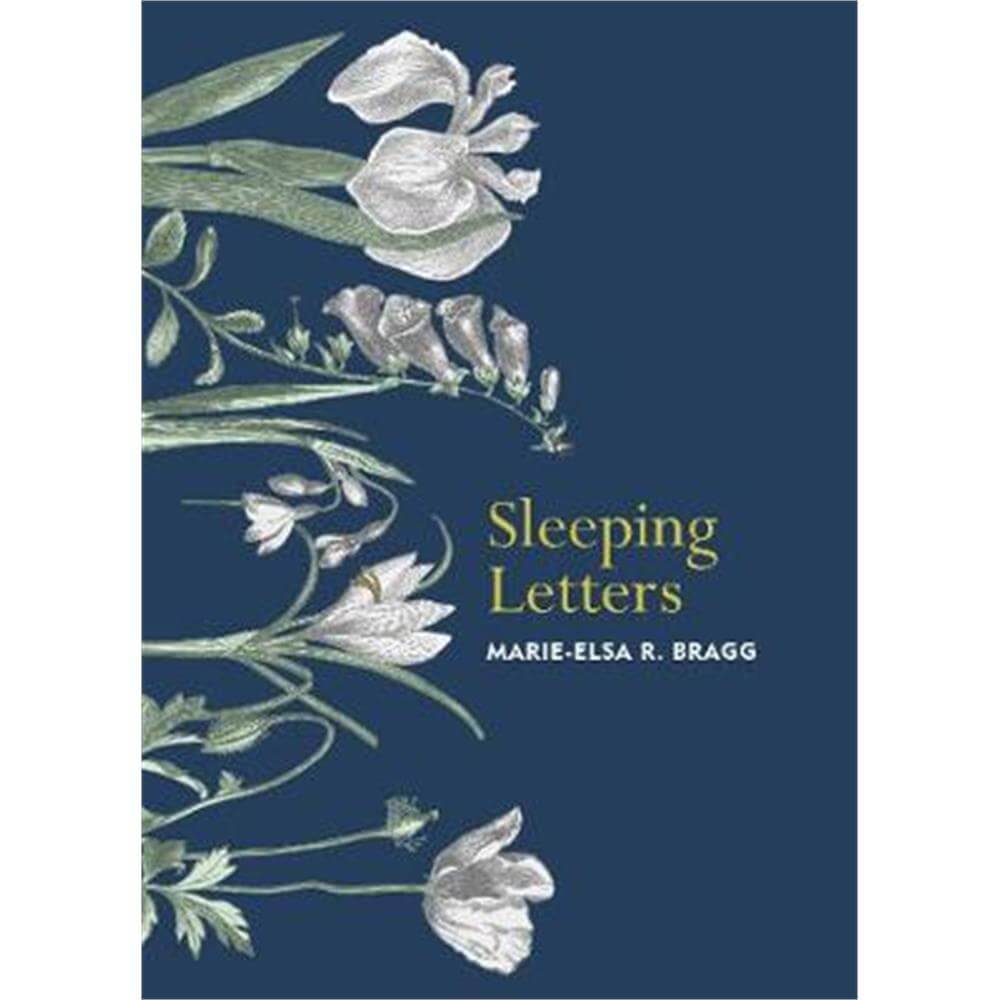 Sleeping Letters (Hardback) - Marie-Elsa R. Bragg